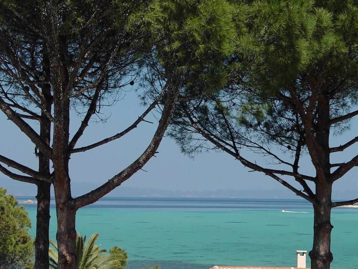 Elena Apartments Nikiti  Pokoj fotografie
